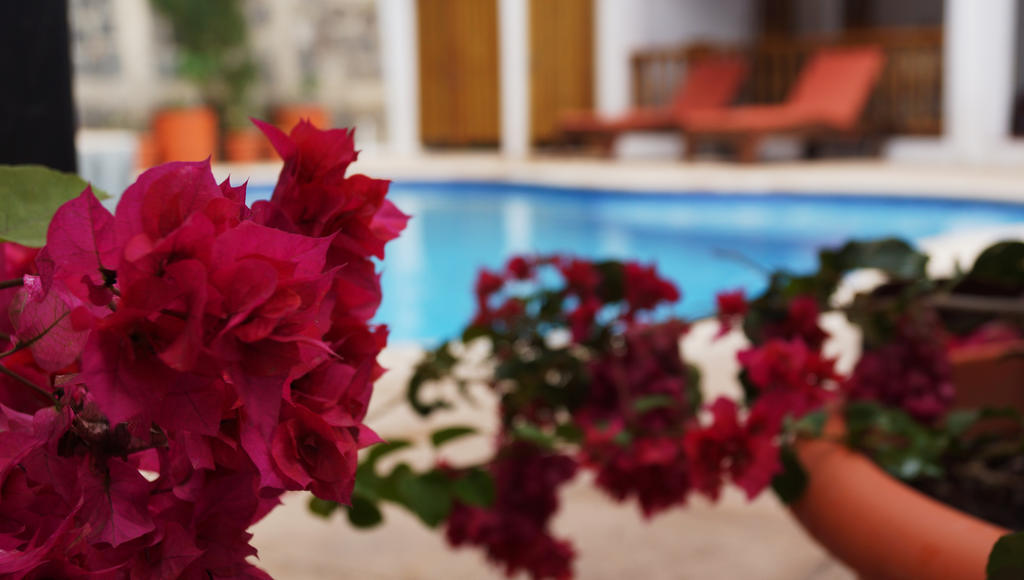 Atitlan Villas Agua Escondida Eksteriør bilde